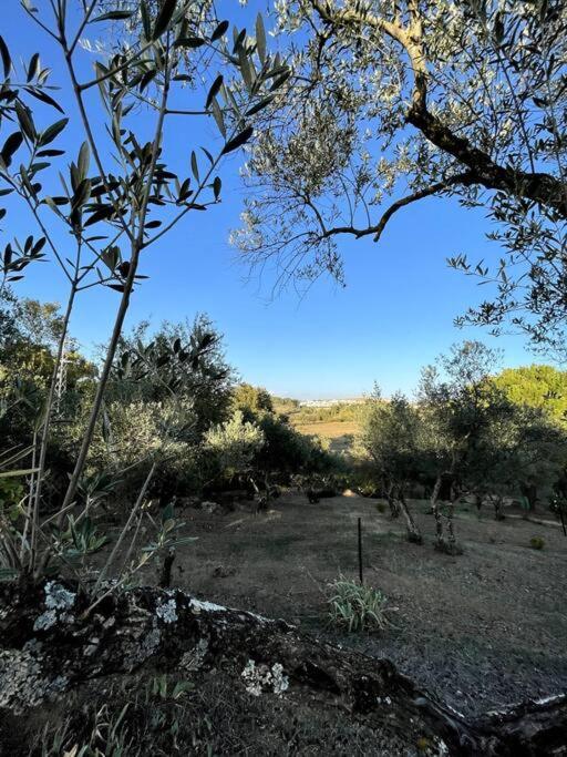 Villa Maria, Casa Rural En Cazalla De La Sierra. Bagian luar foto
